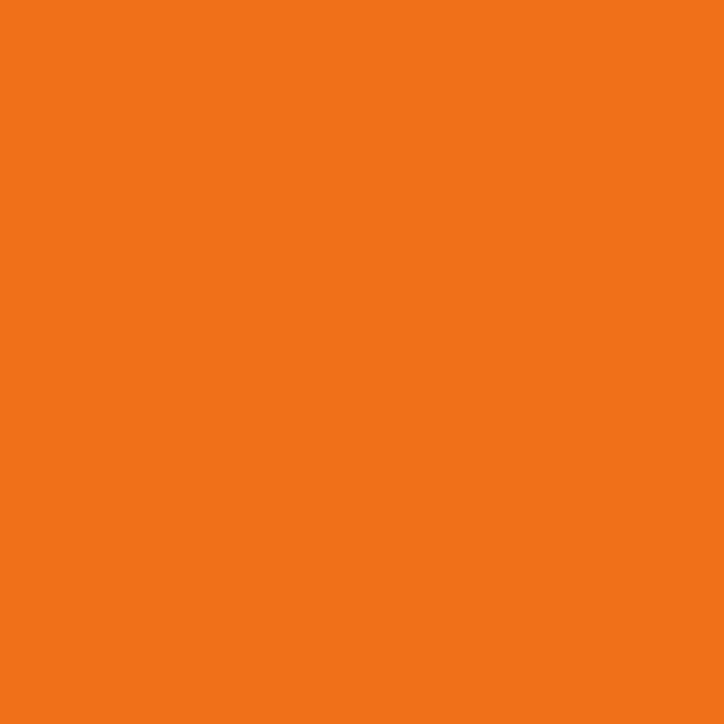 2015-10 Electric Orange - Paint Color