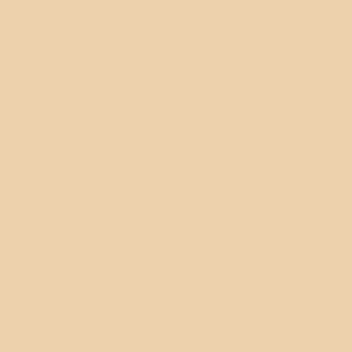 2165-50 Natural Sand - Paint Color | Columbia Paint